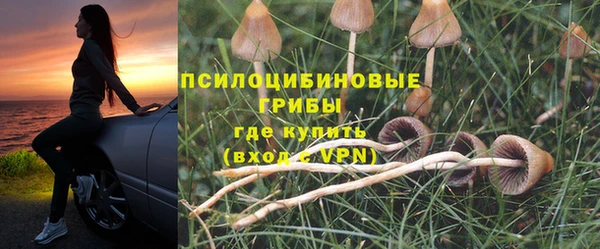 скорость Елизово