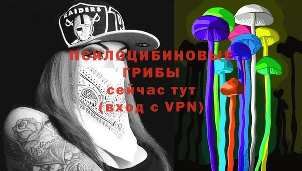 прущий лед Котовск