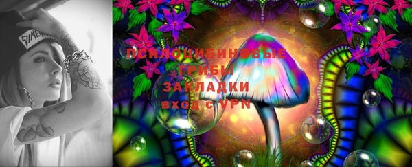 прущая мука Шадринск