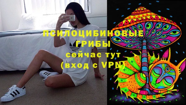 скорость Елизово